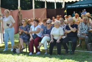 Piknik Integracyjny w Kluczkowicach, 16 września 2026 – zdjęcie 87